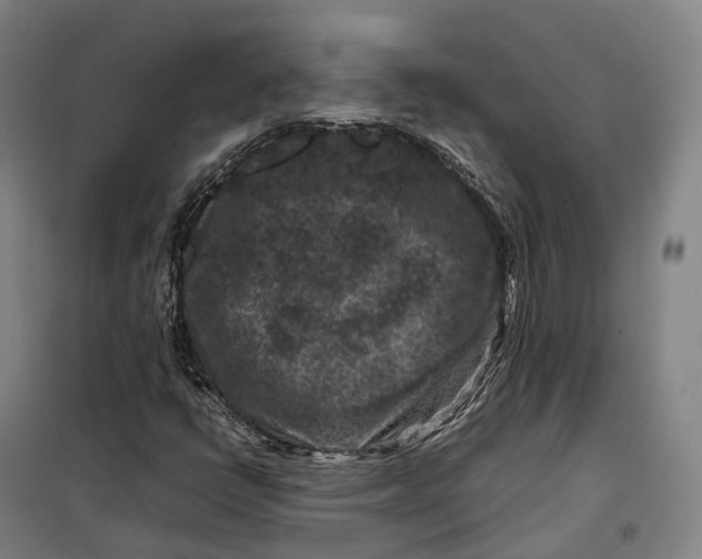 X0000099471398200805301546