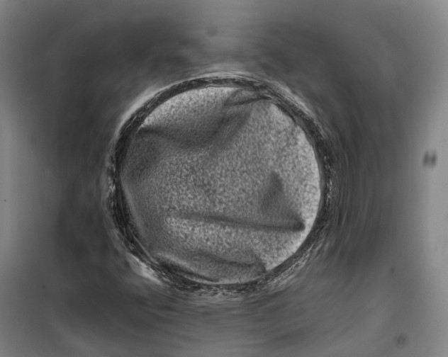 X0000099471400200805301546