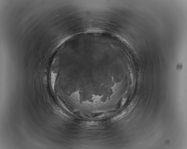 X0000099471401200805301546