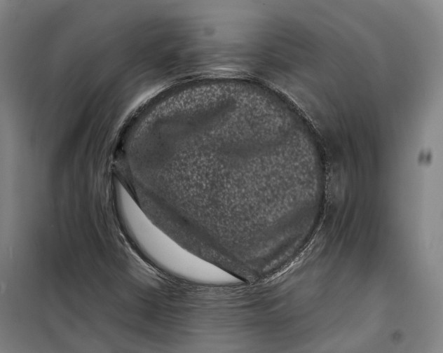 X0000099471402200805301546