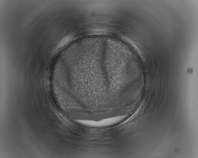 X0000099471403200805301546