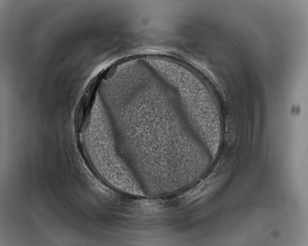 X0000099471404200805301546