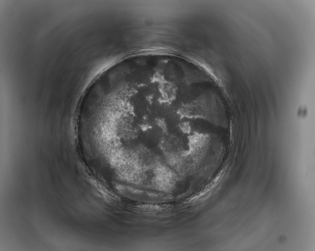 X0000099471405200805301546