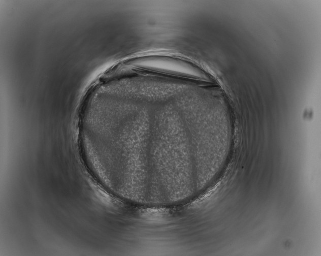 X0000099471406200805301546