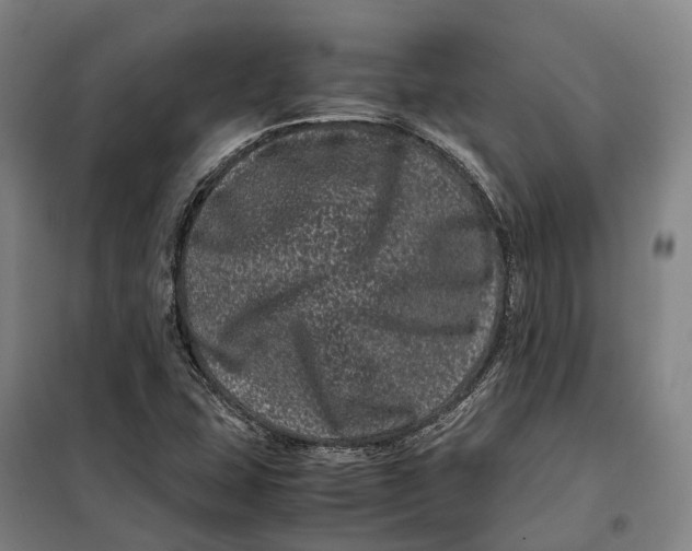 X0000099471407200805301546