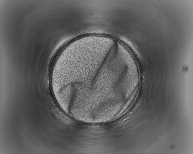 X0000099471408200805301546