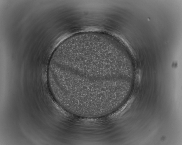 X0000099471409200805301546