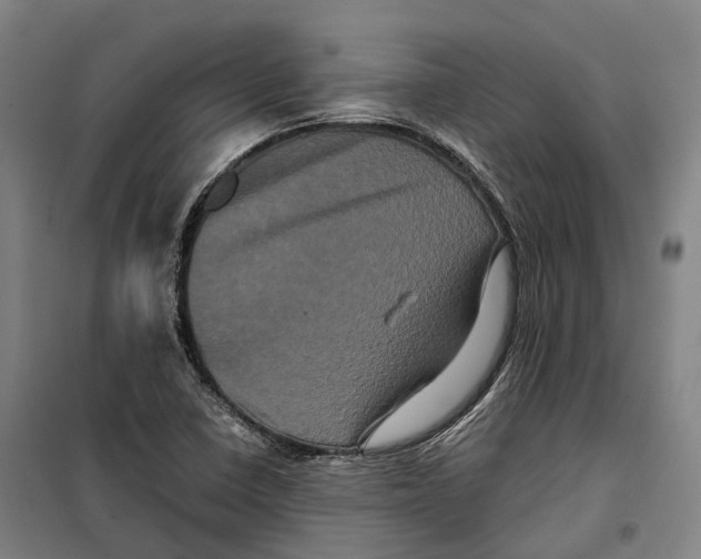 X0000099471410200805301546