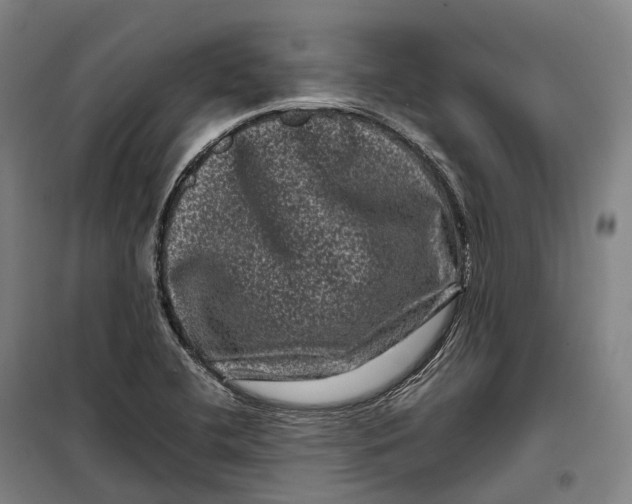 X0000099471412200805301546