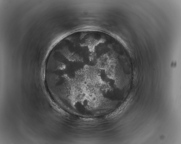 X0000099471413200805301546