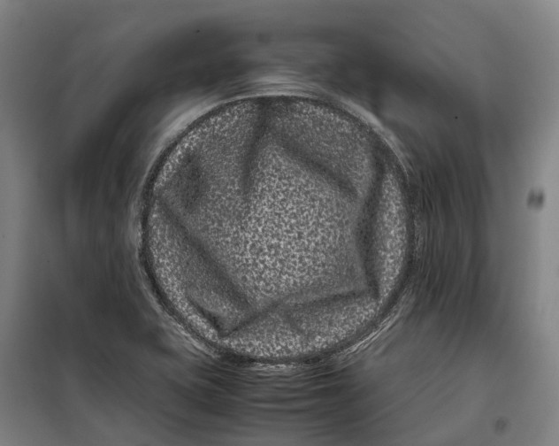 X0000099471415200805301546