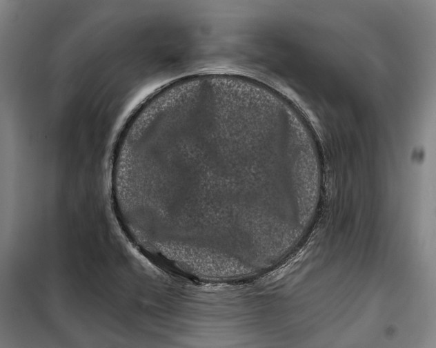 X0000099471416200805301546