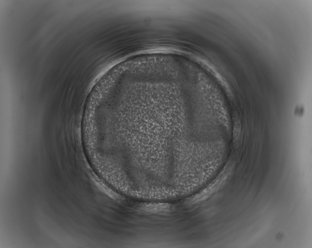 X0000099471417200805301546