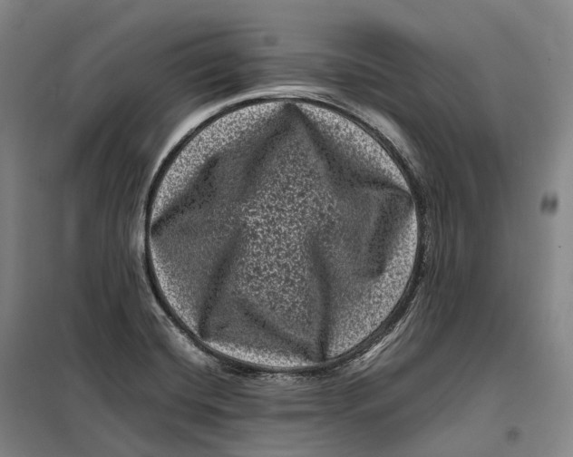 X0000099471420200805301546