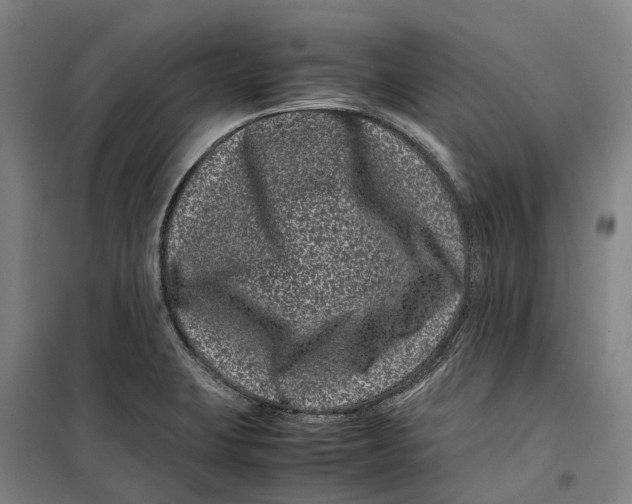 X0000099471423200805301546