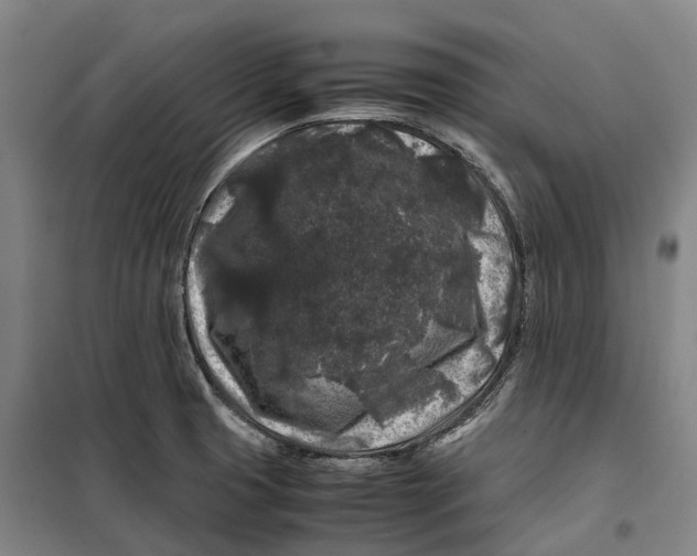 X0000099471425200805301546