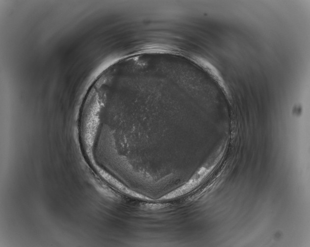 X0000099471427200805301546