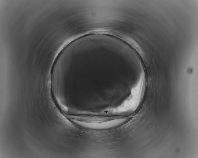 X0000099471428200805301546