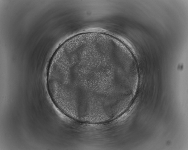 X0000099471430200805301546