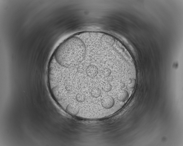 X0000099471432200805301546