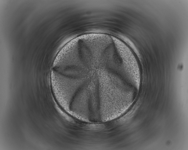 X0000099471433200805301546