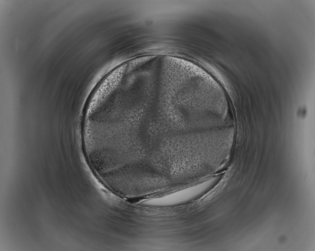 X0000099471434200805301546