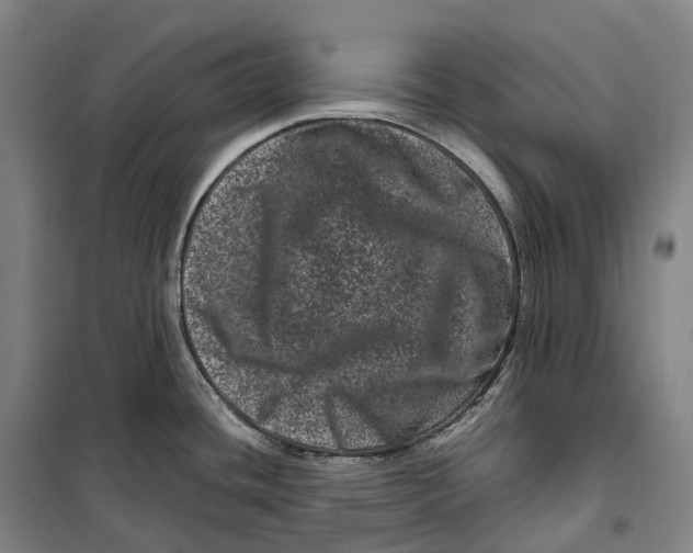 X0000099471436200805301546