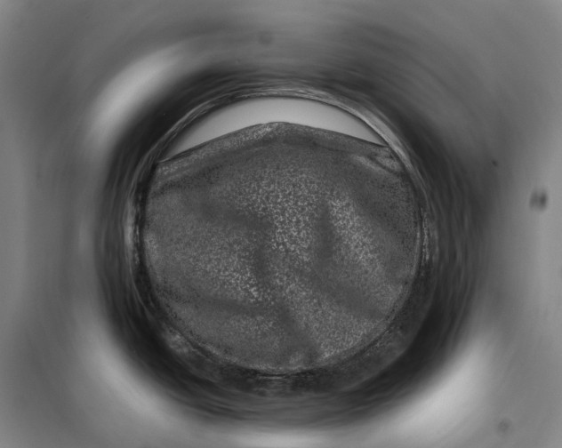 X0000099471438200805301546