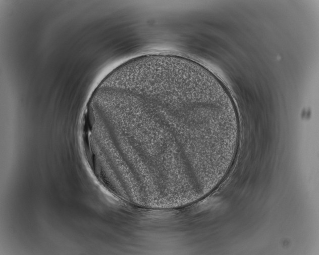 X0000099471440200805301546