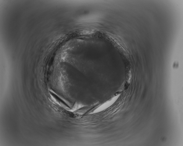 X0000099471441200805301545