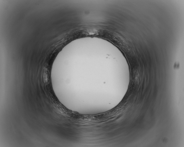 X0000099471442200805301545