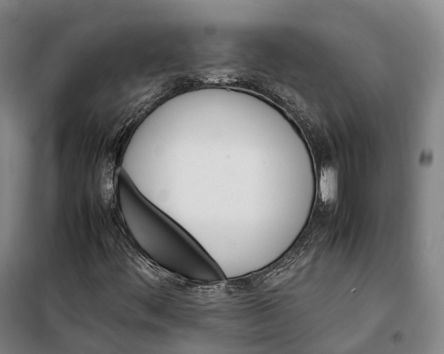 X0000099471444200805301545