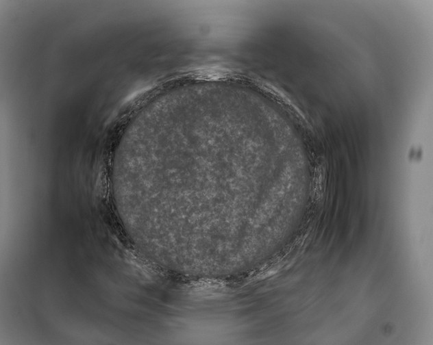 X0000099471446200805301545