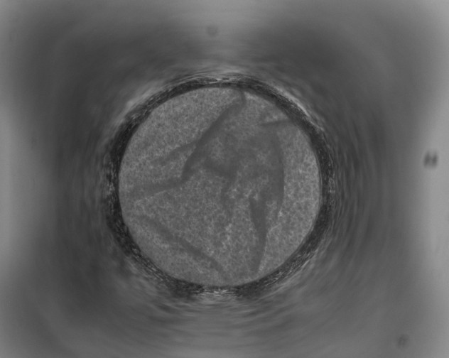 X0000099471447200805301545