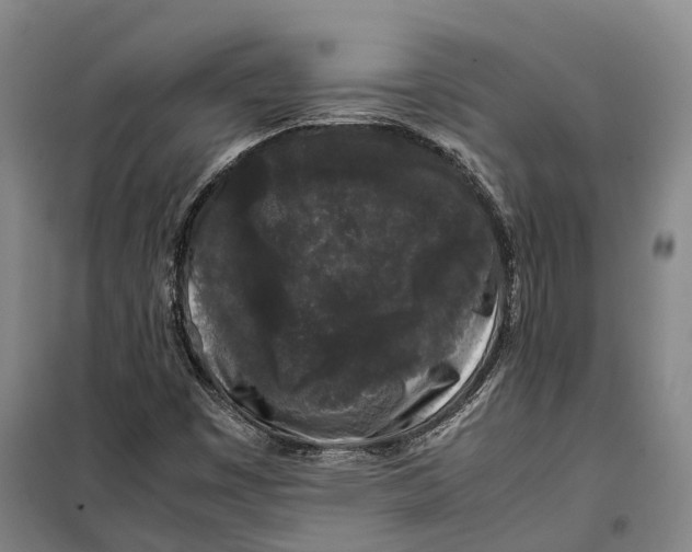 X0000099471449200805301545