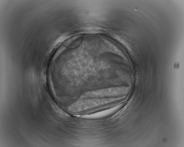 X0000099471451200805301545