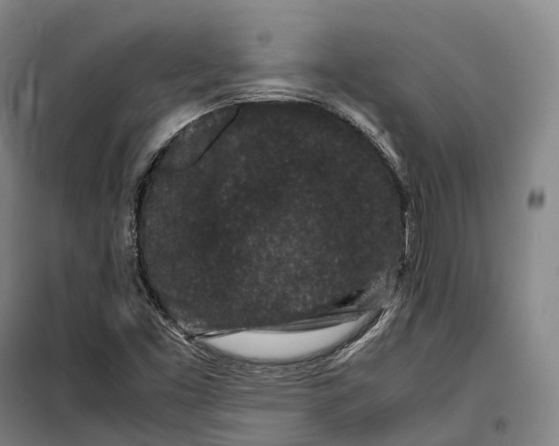 X0000099471453200805301545