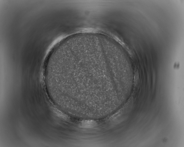 X0000099471454200805301545