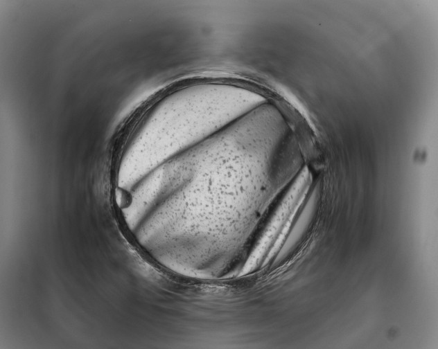 X0000099471456200805301545