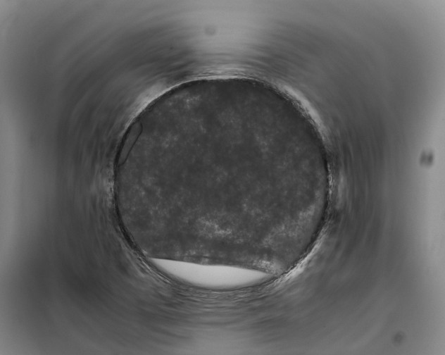 X0000099471457200805301545