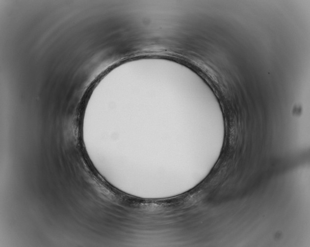 X0000099471458200805301545