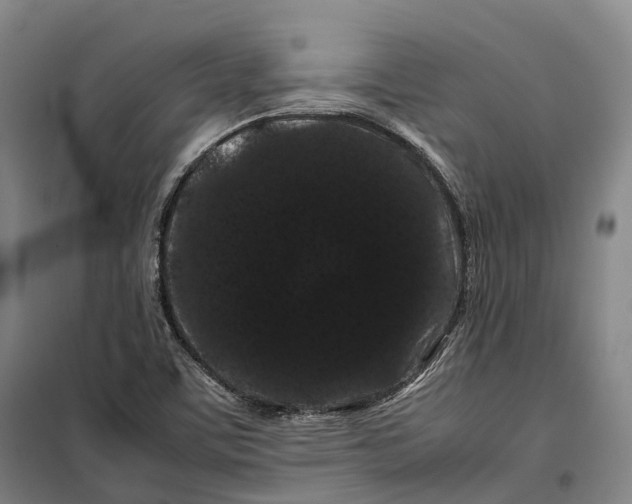 X0000099471459200805301545