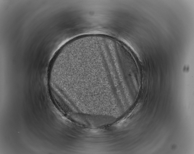 X0000099471460200805301545