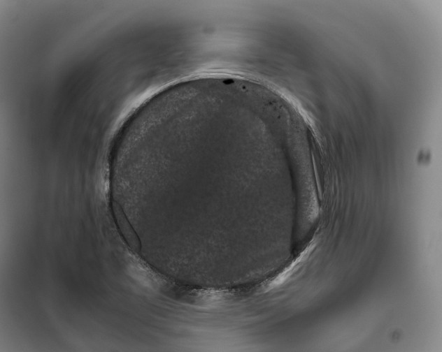 X0000099471461200805301545