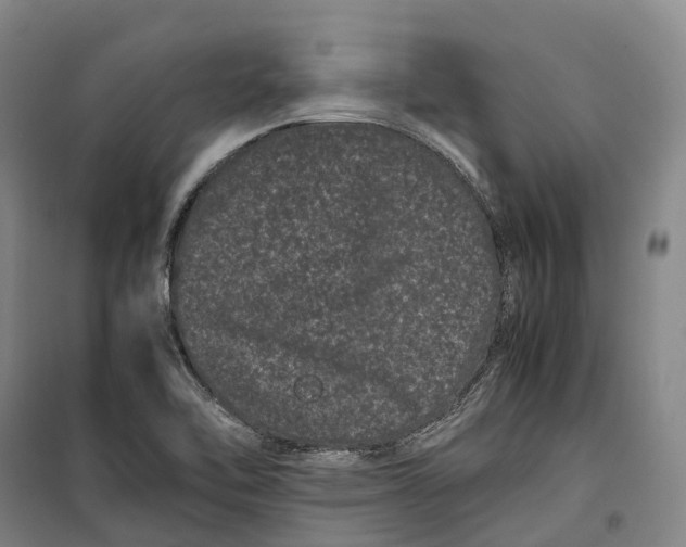 X0000099471462200805301545