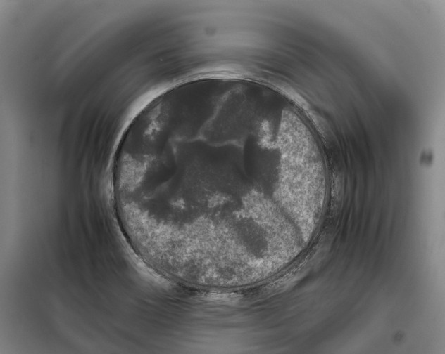 X0000099471466200805301545