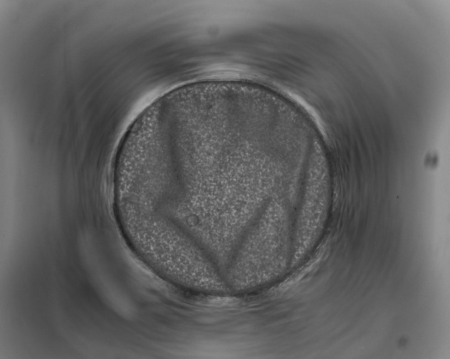 X0000099471467200805301545