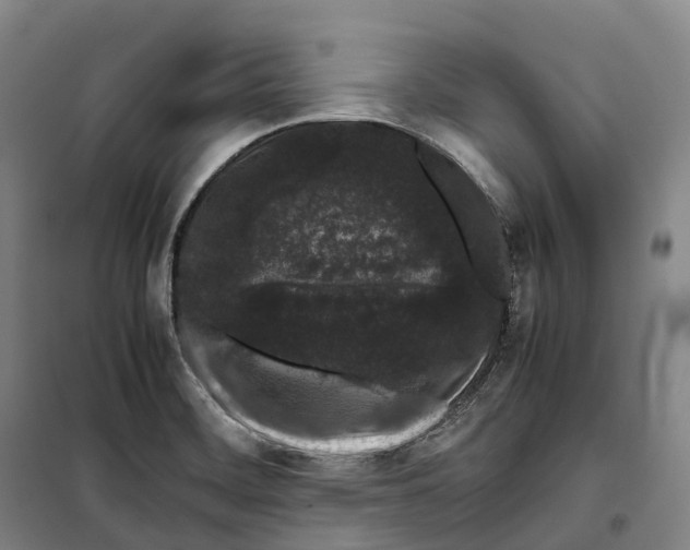 X0000099471468200805301545