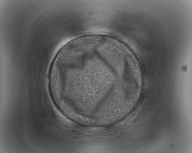 X0000099471471200805301545