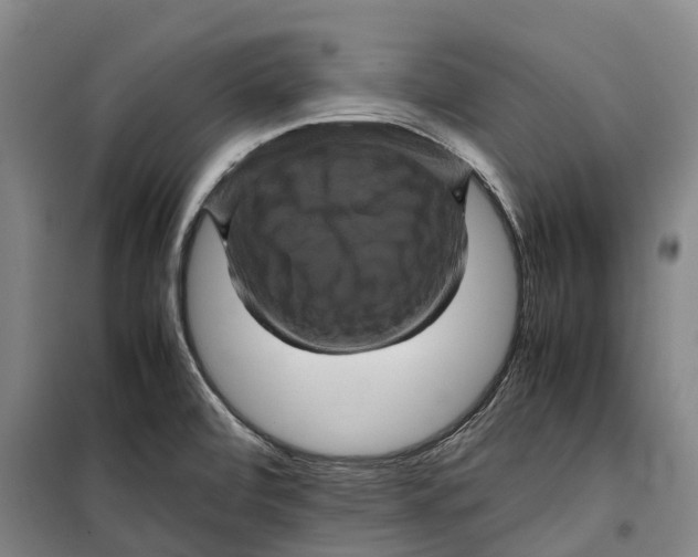 X0000099471472200805301545